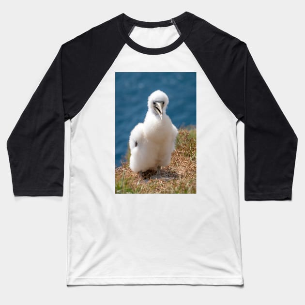 Masked Booby (A.K.A. Masked Gannet) Chick, Norfolk Island Baseball T-Shirt by AndrewGoodall